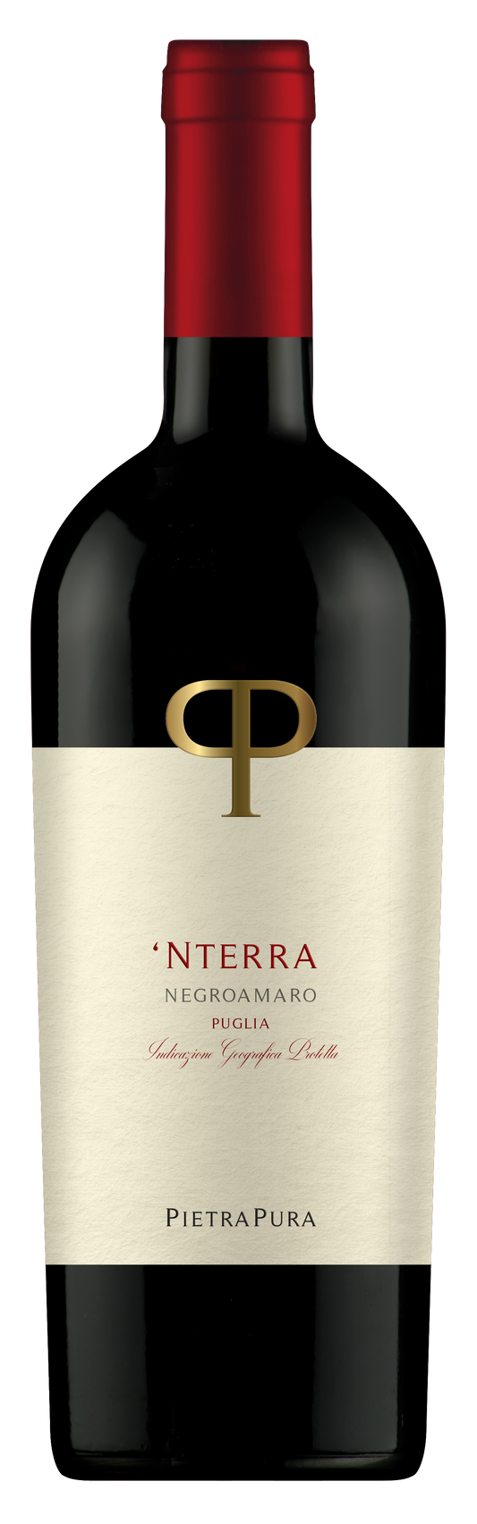 Negroamaro Puglia IGP 2023