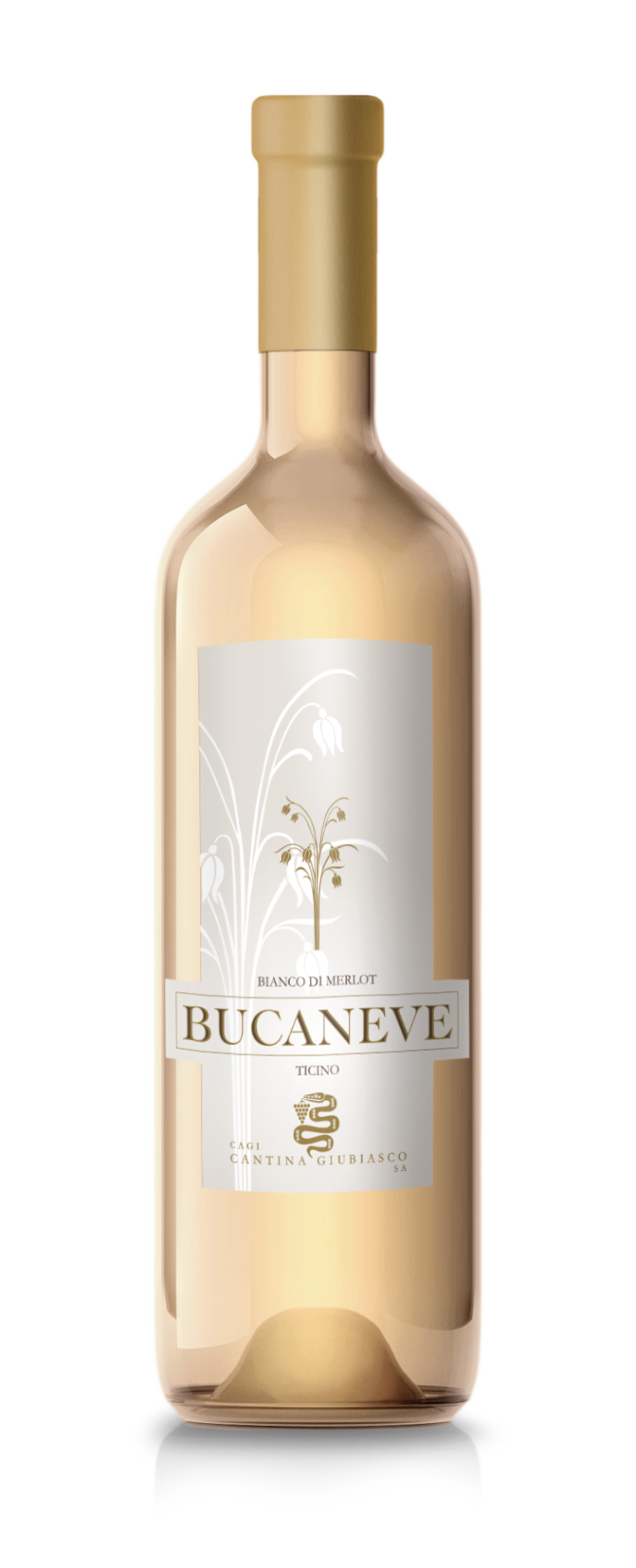 Bucaneve Bianco di Merlot 50cl - 2023