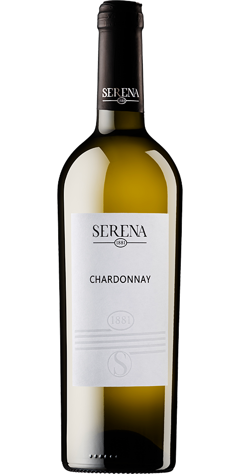 Chardonnay Veneto IGT 2024